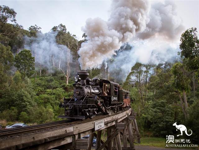 上百年歷史的Puffing Billy Railway小火車,為什麼至今依然受寵?(附小火車遊玩攻略)