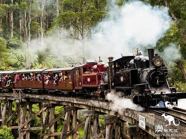 上百年歷史的Puffing Billy Railway小火車,為什麼至今依然受寵?(附小火車遊玩攻略)