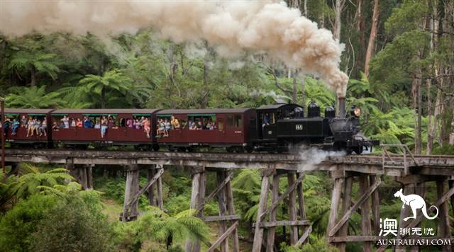 上百年歷史的Puffing Billy Railway小火車,為什麼至今依然受寵?(附小火車遊玩攻略)