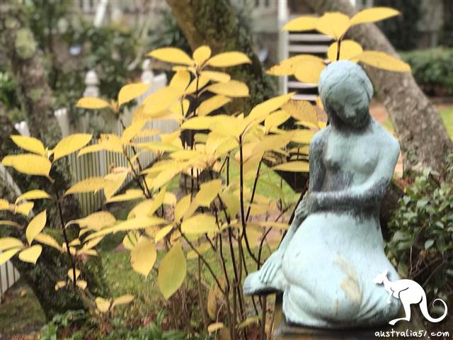Leura瀑布藝術館秘密花園一瞥。(記者攝)