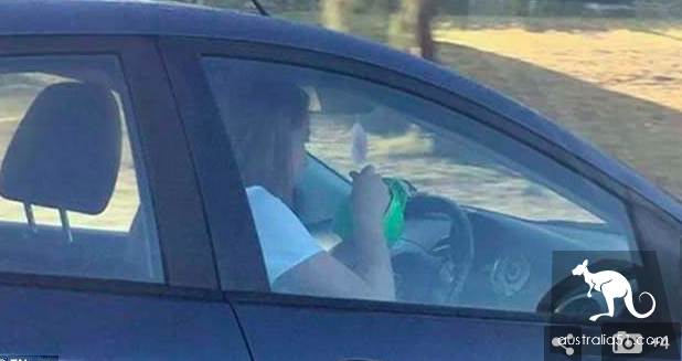 開車時喝咖啡?重罰!每個司機都可能“中招”,在澳開車這些習慣一定要注意,否則罰哭