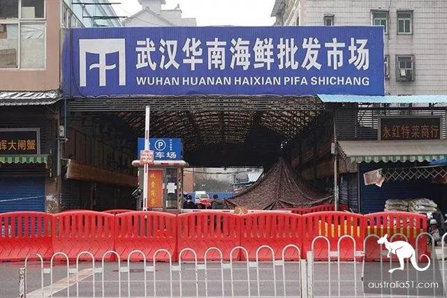 武漢華南海鮮市場罕見照片!