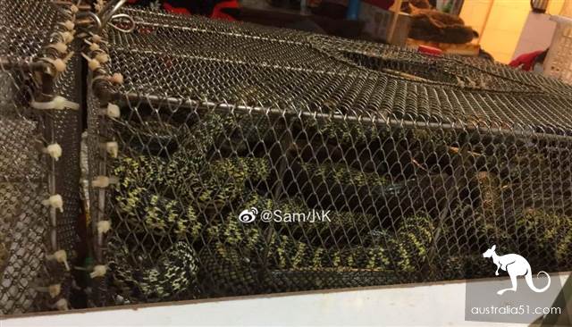 武漢華南海鮮市場罕見照片!