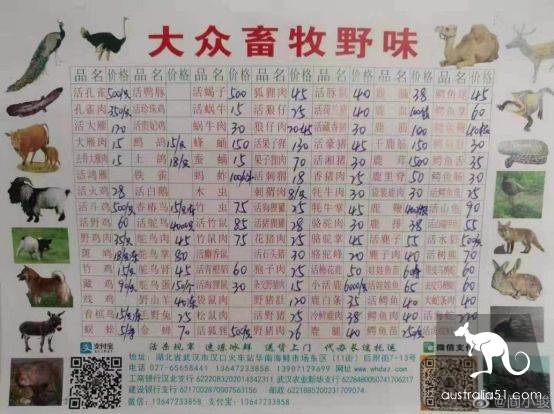 武漢華南海鮮市場罕見照片!