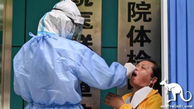 香港核酸檢測的價格是深圳的五倍。”