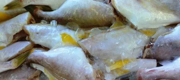 澳洲超市常卖的蔬菜、鱼、香料都叫什么？怎么吃？