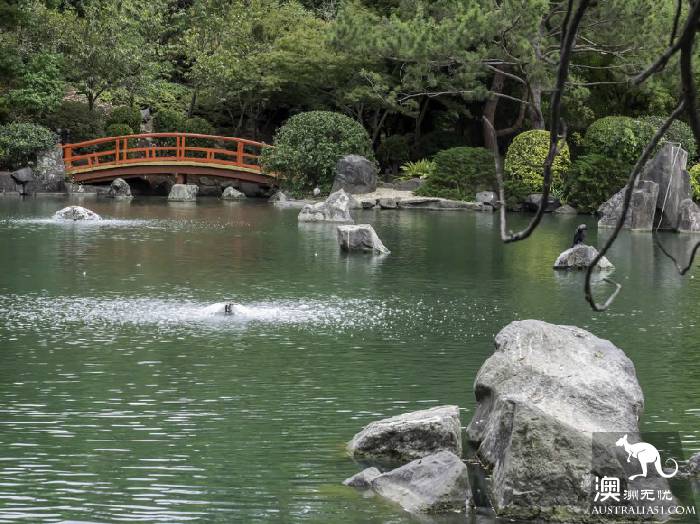 奧本植物園(圖片來自網絡)