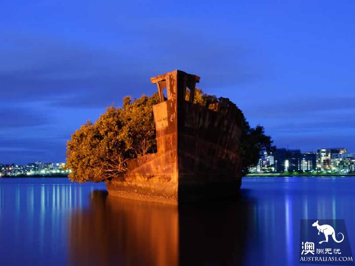 沉船森林(圖片來自網絡)