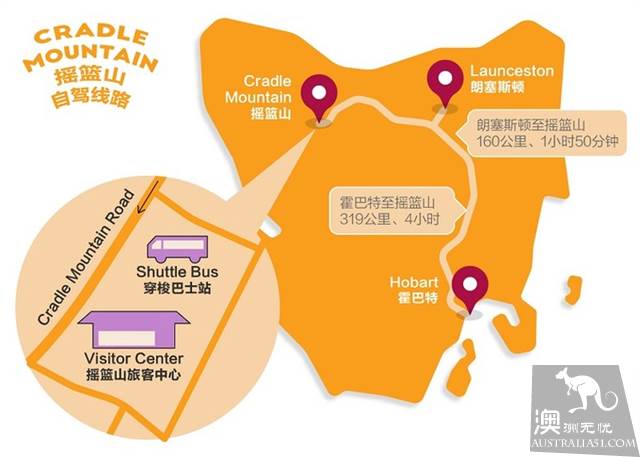 塔斯馬尼亞野生動物探秘指南
