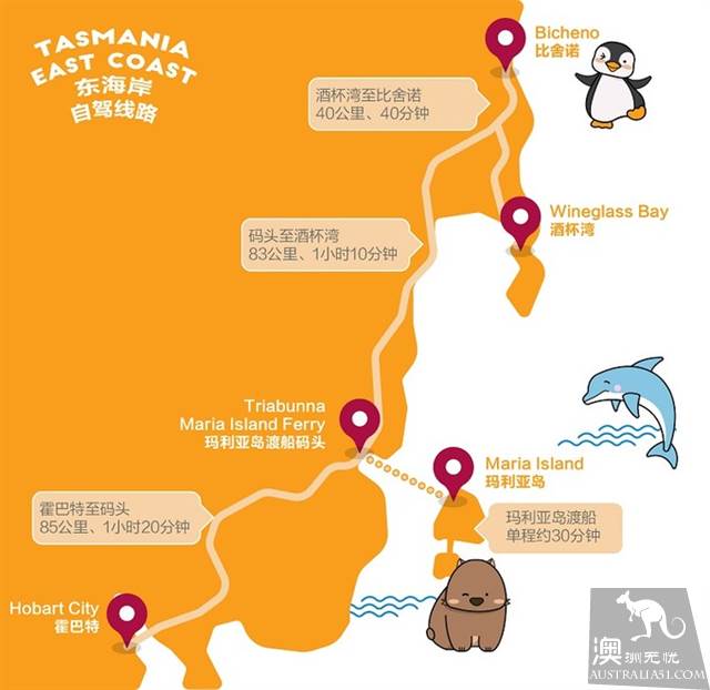 塔斯馬尼亞野生動物探秘指南