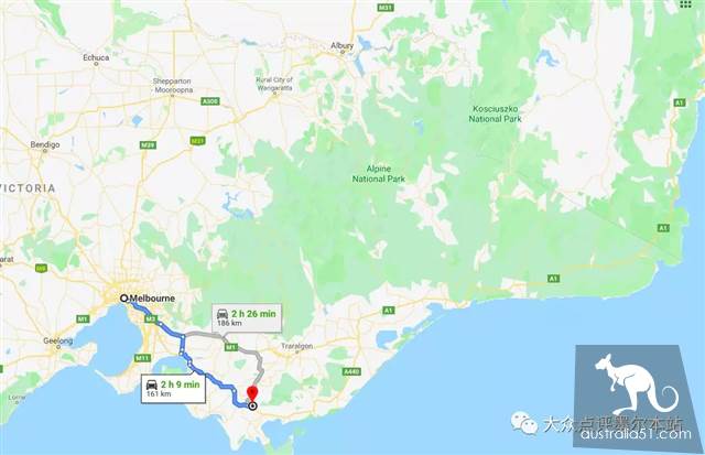吉普斯蘭,距墨爾本2h的隱秘寶藏:賞鯨豚、采鬆露、熒光海...徹底告別普通遊客團