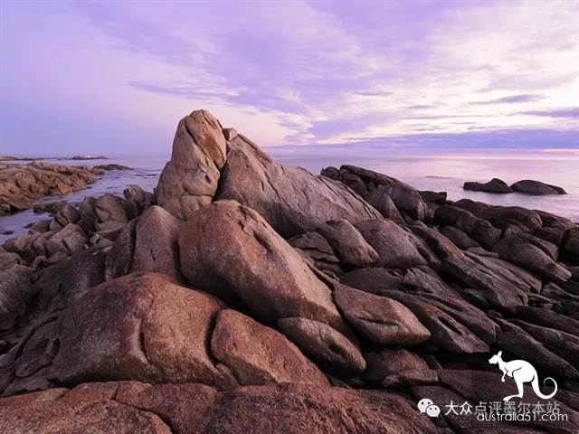 吉普斯蘭,距墨爾本2h的隱秘寶藏:賞鯨豚、采鬆露、熒光海...徹底告別普通遊客團