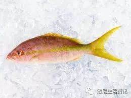 在墨爾本吃海鮮看這一篇就夠了!超市裹海鮮科普