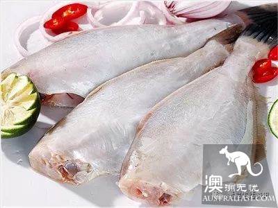 在墨爾本吃海鮮看這一篇就夠了!超市裹海鮮科普
