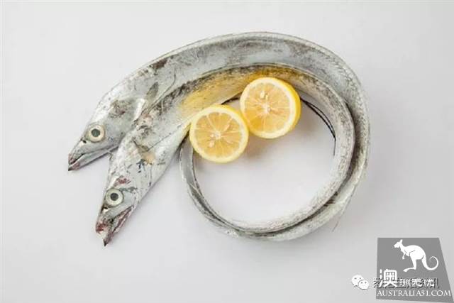 在墨爾本吃海鮮看這一篇就夠了!超市裹海鮮科普