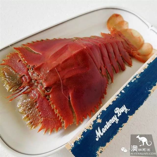 在墨爾本吃海鮮看這一篇就夠了!超市裹海鮮科普