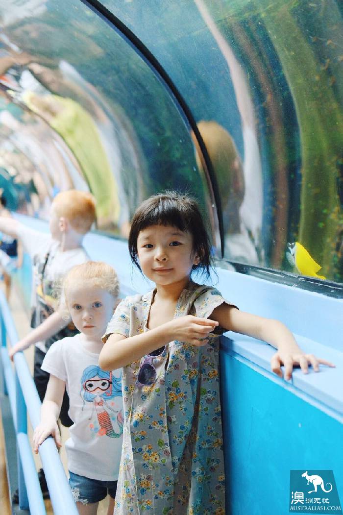 尋寶:悉尼海洋生物水族館遊覽雜記