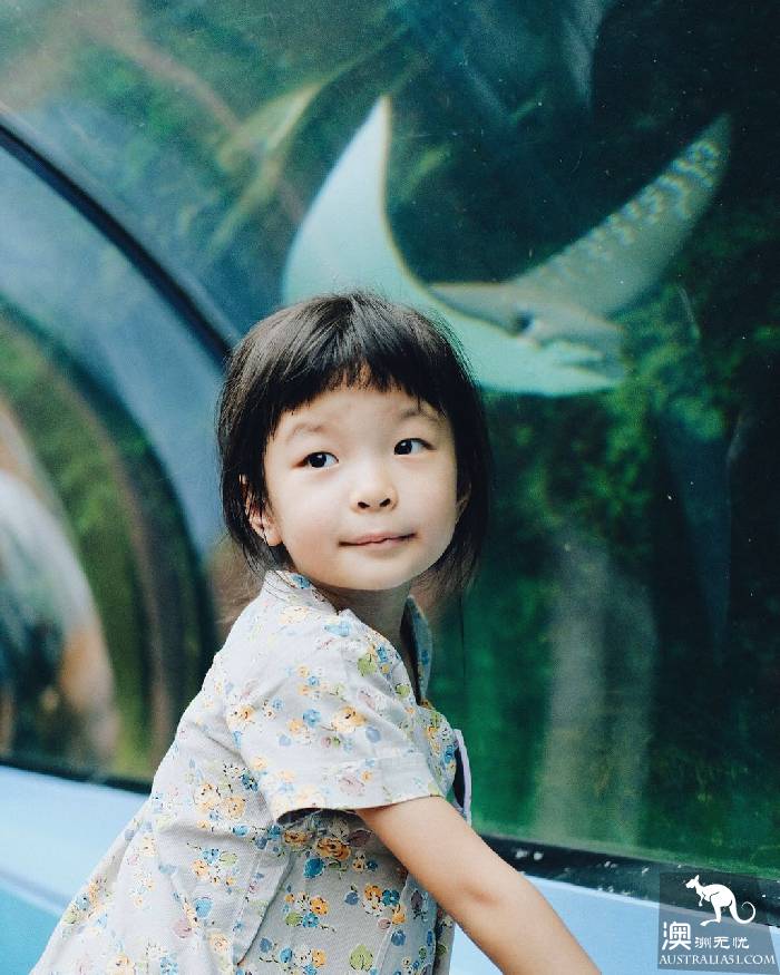 尋寶:悉尼海洋生物水族館遊覽雜記