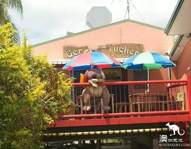 不可错过的库兰达热带雨林八大精彩体验