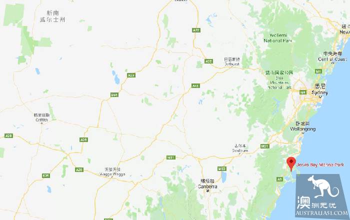 澳大利亞觀鯨指南,盛大的鯨魚遷徙如約而至