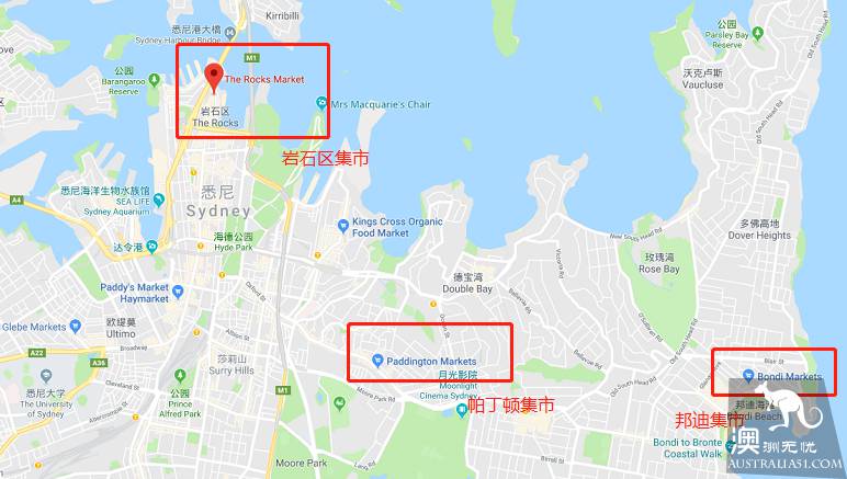帕丁顿、邦迪和岩石区，悉尼三大集市对比，献给热爱生活的你
