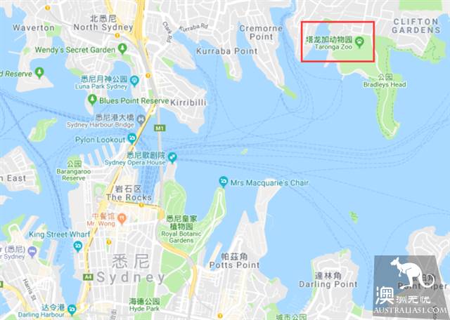 悉尼塔龙加动物园，这里的动物们住着海景房