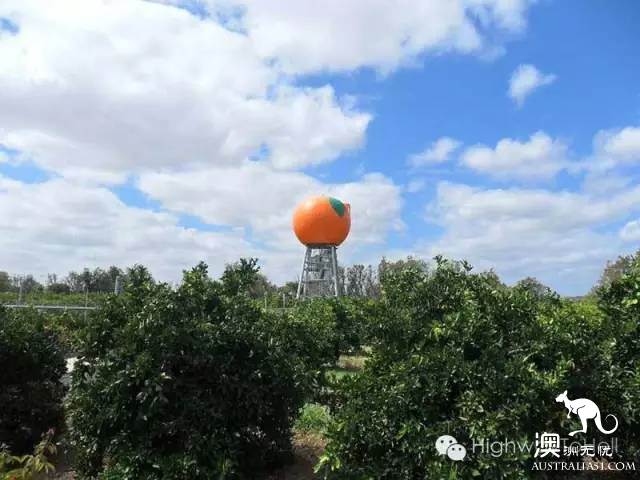 盤點,澳大利亞的那些“巨物”