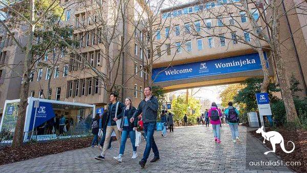 大學讀啥?今年維州高校最熱門學位揭曉