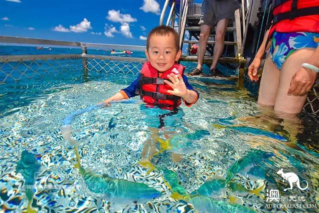 带宝贝畅游大堡礁，提前Get旅行计划