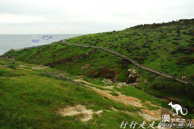 阿德莱德秘境：哈雷特考夫保护公园，地球6亿年的沧桑