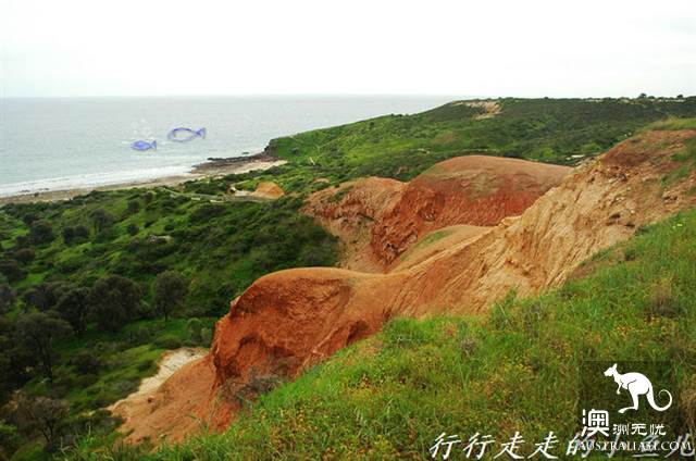 阿德莱德秘境：哈雷特考夫保护公园，地球6亿年的沧桑