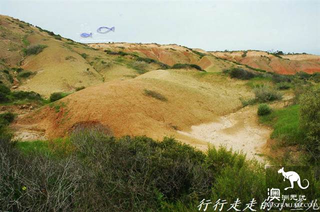 阿德莱德秘境：哈雷特考夫保护公园，地球6亿年的沧桑