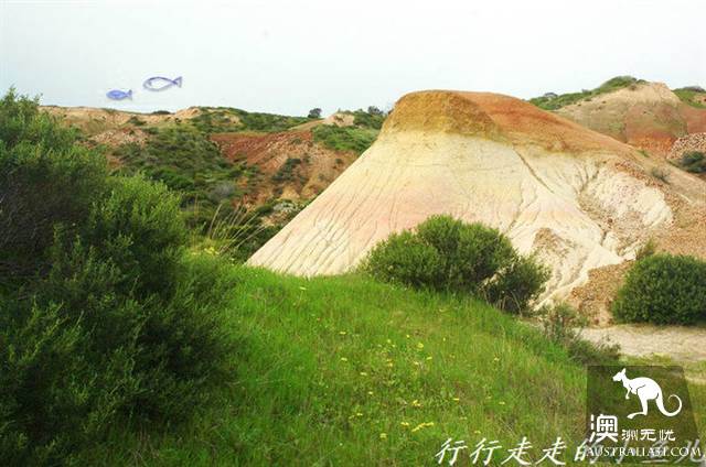 阿德莱德秘境：哈雷特考夫保护公园，地球6亿年的沧桑