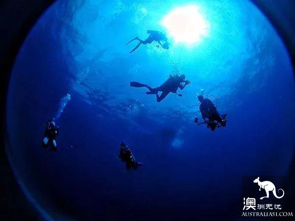 澳洲必打卡No.1，“世界级”小众绝世美景豪勋爵岛，其实就在你身边