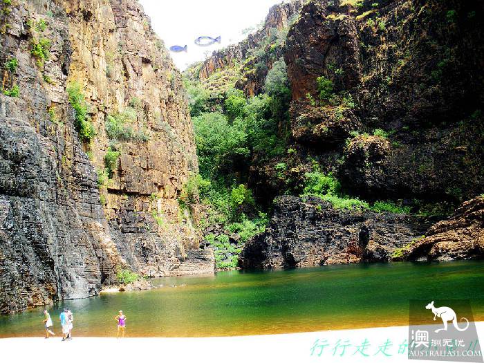 北领地卡卡杜国家公园游玩指南