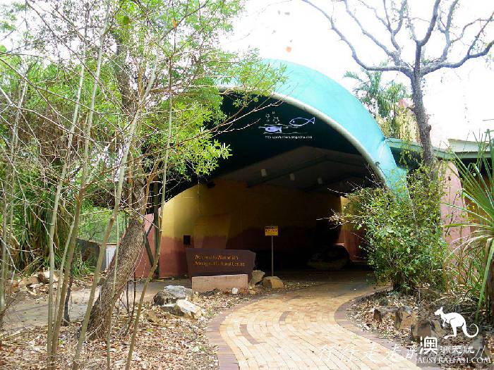 北领地卡卡杜国家公园游玩指南