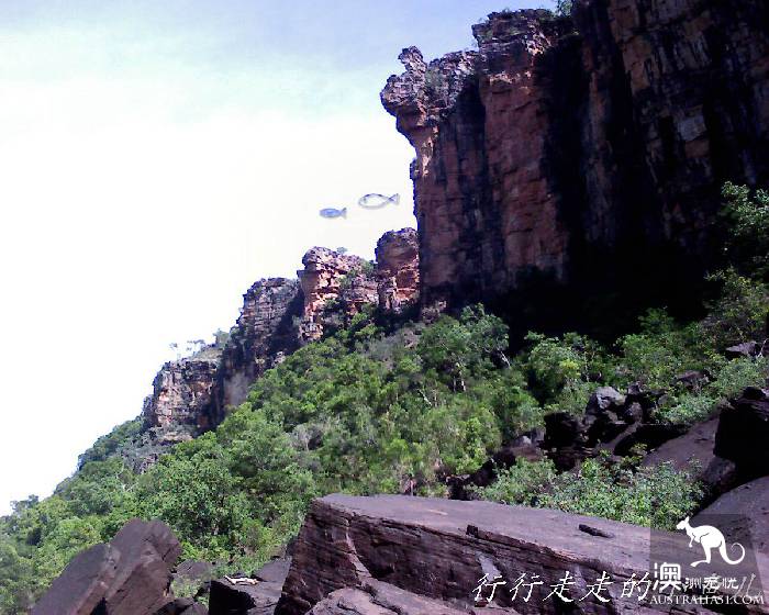 北领地卡卡杜国家公园游玩指南