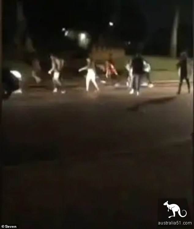 搶地盤?兩輛派對巴士同時抵達珀斯國王公園,引髮百人混戰