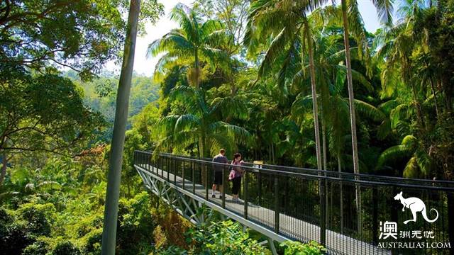黃金海岸金沙碧海後的秘境:天寶林山遊玩全攻略