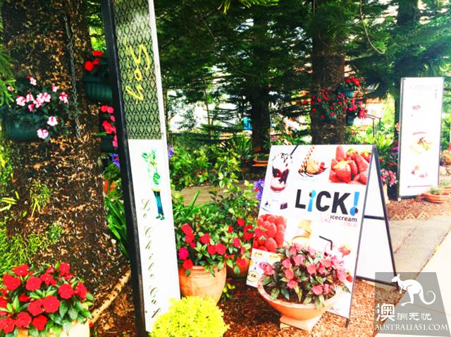 黃金海岸金沙碧海後的秘境:天寶林山遊玩全攻略
