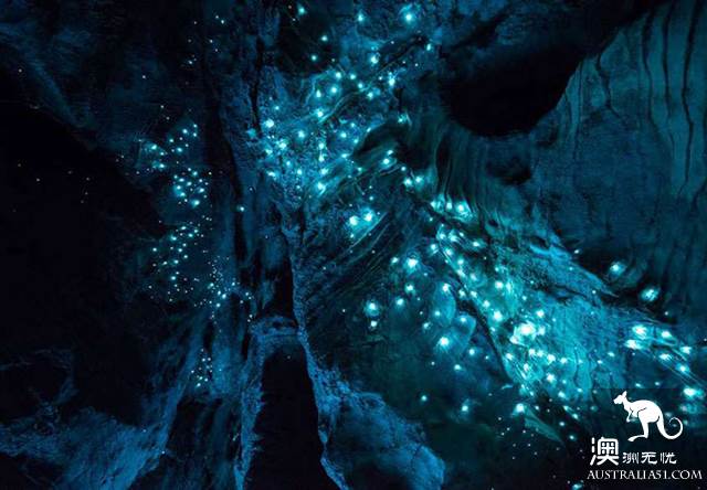 黃金海岸金沙碧海後的秘境:天寶林山遊玩全攻略