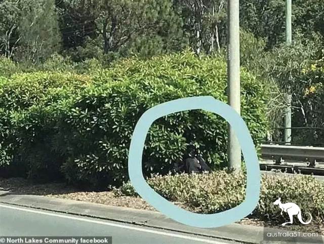 澳洲警察開罰單潛規則曝光!怪不得澳洲警察開罰單那麼積極......