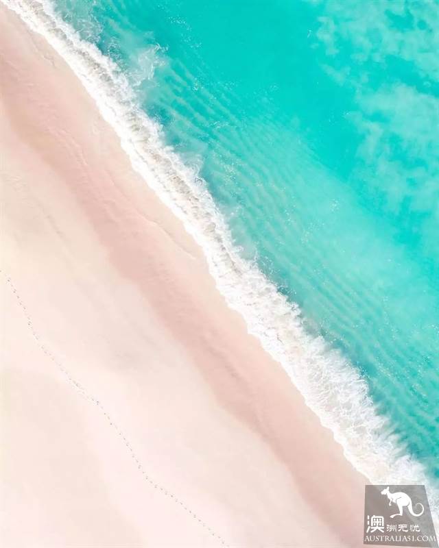 《妻子的浪漫旅行2》,章子怡真人首秀要帶火這座“孤獨”的城市:珀斯