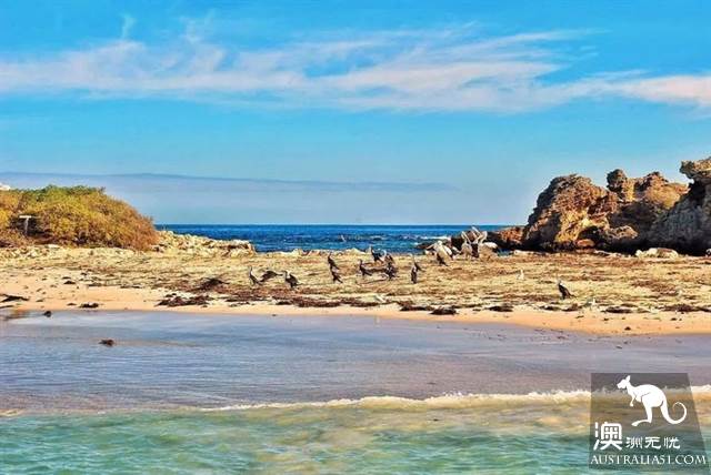 《妻子的浪漫旅行2》,章子怡真人首秀要帶火這座“孤獨”的城市:珀斯