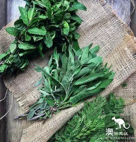 墨爾本Local才知道的Market,藏着最新鮮便宜的蔬果