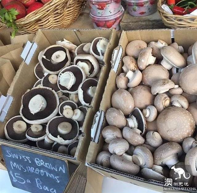 墨爾本Local才知道的Market,藏着最新鮮便宜的蔬果