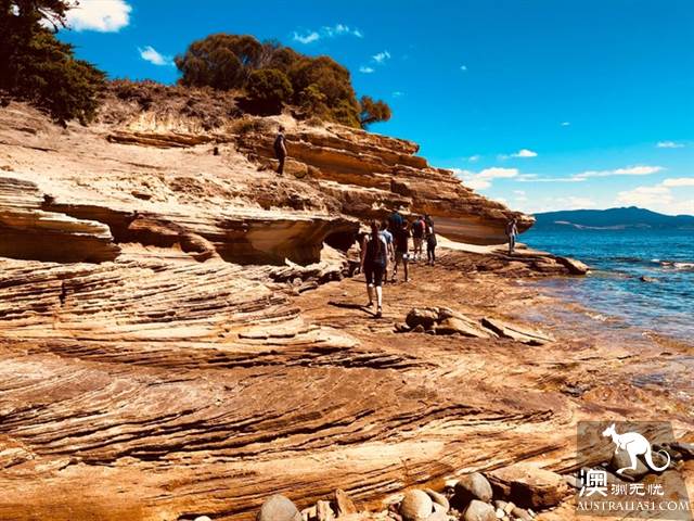 瑪利亞島,遇見彩繪峭壁和袋熊