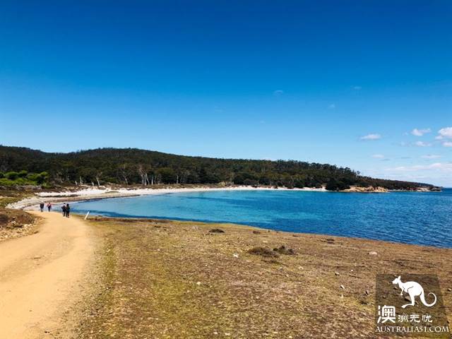 瑪利亞島,遇見彩繪峭壁和袋熊