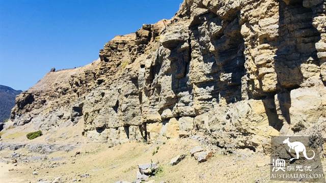 瑪利亞島,遇見彩繪峭壁和袋熊