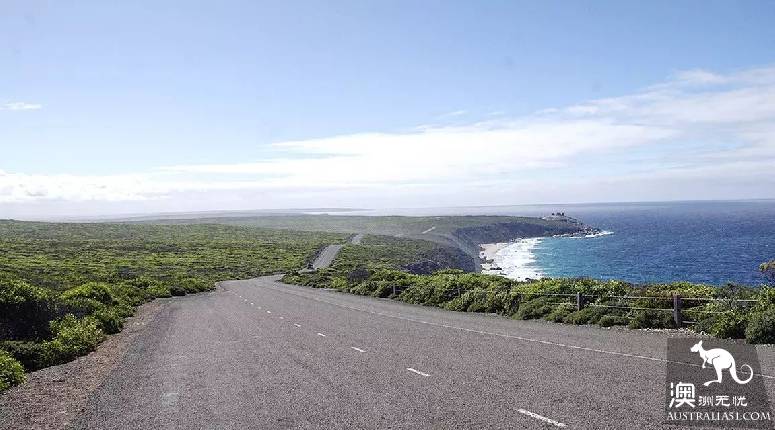 南澳第一秘境袋鼠島:冰島、非洲、馬代野感叁合一